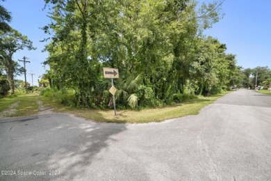 Nestled in the heart of New Smyrna Beach, this treed buildable on New Smyrna Beach Golf Course in Florida - for sale on GolfHomes.com, golf home, golf lot