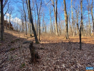 Own a parcel that is like no other especially if you love nature on Devils Knob in Virginia - for sale on GolfHomes.com, golf home, golf lot