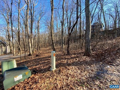 Own a parcel that is like no other especially if you love nature on Devils Knob in Virginia - for sale on GolfHomes.com, golf home, golf lot