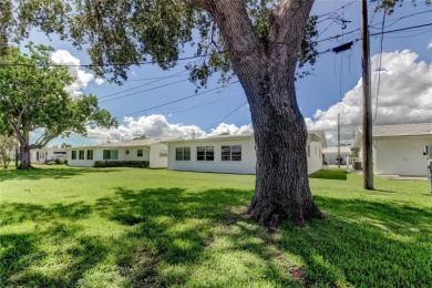 Savor your retirement in the sunshine at The Mainlands 55+ on Mainlands Golf Club in Florida - for sale on GolfHomes.com, golf home, golf lot