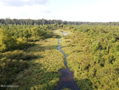 This 117+/- acre tract is an outdoorsman's dream. This is a on Forest Country Club in Mississippi - for sale on GolfHomes.com, golf home, golf lot
