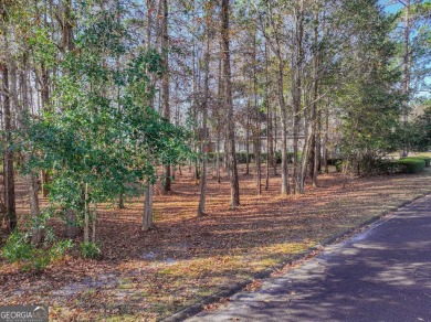 Discover the unmatched beauty of this Southern gem with on The Club At Osprey Cove in Georgia - for sale on GolfHomes.com, golf home, golf lot