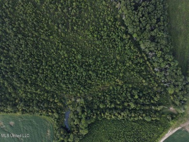 This 117+/- acre tract is an outdoorsman's dream. This is a on Forest Country Club in Mississippi - for sale on GolfHomes.com, golf home, golf lot