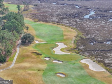 Discover the unmatched beauty of this Southern gem with on The Club At Osprey Cove in Georgia - for sale on GolfHomes.com, golf home, golf lot