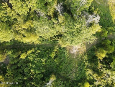 This 117+/- acre tract is an outdoorsman's dream. This is a on Forest Country Club in Mississippi - for sale on GolfHomes.com, golf home, golf lot