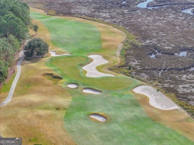 Discover the unmatched beauty of this Southern gem with on The Club At Osprey Cove in Georgia - for sale on GolfHomes.com, golf home, golf lot