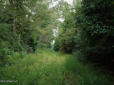 This 117+/- acre tract is an outdoorsman's dream. This is a on Forest Country Club in Mississippi - for sale on GolfHomes.com, golf home, golf lot