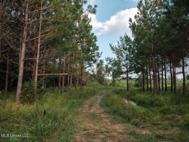 This 117+/- acre tract is an outdoorsman's dream. This is a on Forest Country Club in Mississippi - for sale on GolfHomes.com, golf home, golf lot