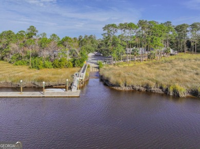 Discover the unmatched beauty of this Southern gem with on The Club At Osprey Cove in Georgia - for sale on GolfHomes.com, golf home, golf lot