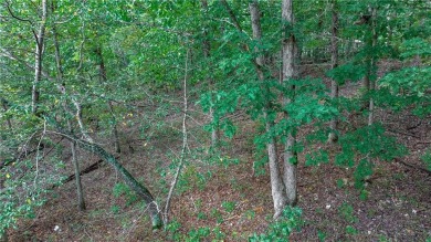 Great location to build your dream home. Two adjacent lots (.53 on Bella Vista Country Club - Scottsdale in Arkansas - for sale on GolfHomes.com, golf home, golf lot