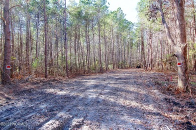 Over 14 Acres within minutes from Ocean Isle Beach! This tract on Tigers Eye Golf Links in North Carolina - for sale on GolfHomes.com, golf home, golf lot