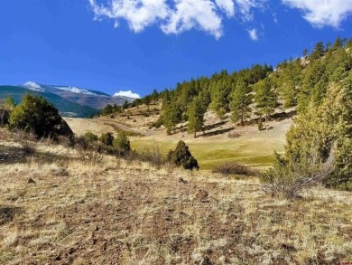 Suzy Woodward, Team Murphy Realty, C: , suzy,  : Don't miss this on Rio Grande Golf Club in Colorado - for sale on GolfHomes.com, golf home, golf lot
