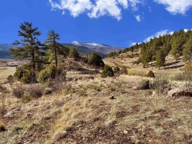 Suzy Woodward, Team Murphy Realty, C: , suzy,  : Don't miss this on Rio Grande Golf Club in Colorado - for sale on GolfHomes.com, golf home, golf lot
