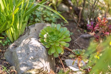 This Upper Rockridge stylish traditional home blends charm on Claremont Country Club in California - for sale on GolfHomes.com, golf home, golf lot