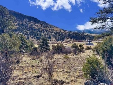 Suzy Woodward, Team Murphy Realty, C: , suzy,  : Don't miss this on Rio Grande Golf Club in Colorado - for sale on GolfHomes.com, golf home, golf lot