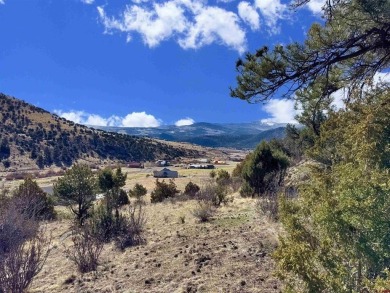 Suzy Woodward, Team Murphy Realty, C: , suzy,  : Don't miss this on Rio Grande Golf Club in Colorado - for sale on GolfHomes.com, golf home, golf lot