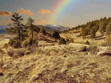 Suzy Woodward, Team Murphy Realty, C: , suzy,  : Don't miss this on Rio Grande Golf Club in Colorado - for sale on GolfHomes.com, golf home, golf lot