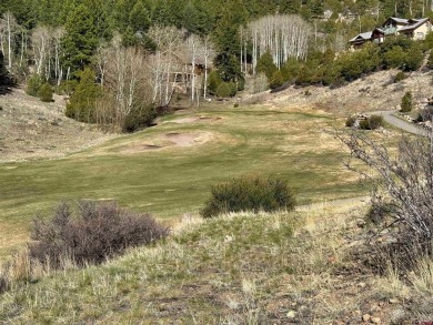 Suzy Woodward, Team Murphy Realty, C: , suzy,  : Don't miss this on Rio Grande Golf Club in Colorado - for sale on GolfHomes.com, golf home, golf lot