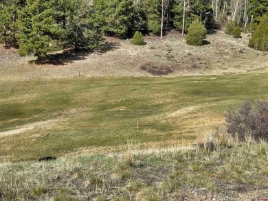 Suzy Woodward, Team Murphy Realty, C: , suzy,  : Don't miss this on Rio Grande Golf Club in Colorado - for sale on GolfHomes.com, golf home, golf lot