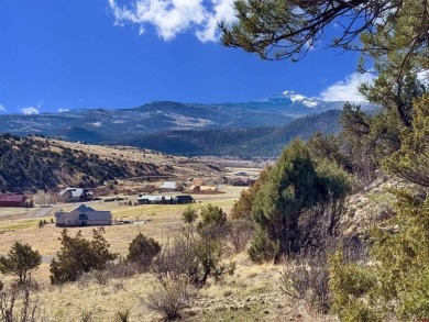 Suzy Woodward, Team Murphy Realty, C: , suzy,  : Don't miss this on Rio Grande Golf Club in Colorado - for sale on GolfHomes.com, golf home, golf lot