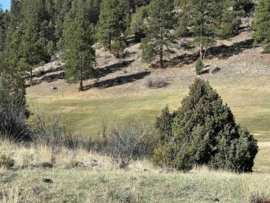 Suzy Woodward, Team Murphy Realty, C: , suzy,  : Don't miss this on Rio Grande Golf Club in Colorado - for sale on GolfHomes.com, golf home, golf lot