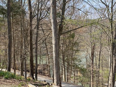 Welcome to 505 Natchez Lane, a lovely barn-style home on .95 on Hide-A-Way Hills Golf Club in Ohio - for sale on GolfHomes.com, golf home, golf lot