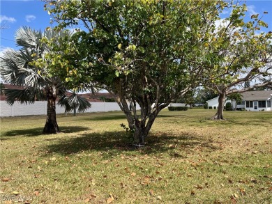 **BEAUTIFUL WIDE OPEN REMODELED KITCHEN WITH EXPANSIVE BREAKFAST on Myerlee Country Club in Florida - for sale on GolfHomes.com, golf home, golf lot