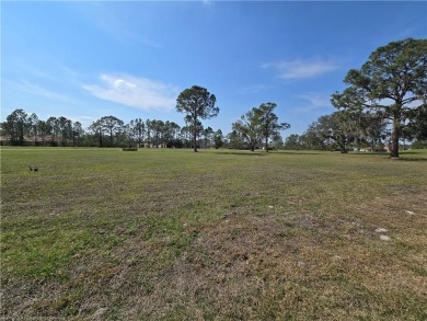 Gorgeous Golf Course Home, MOVE-IN READY! on Sun n Lake Golf and Country Club in Florida - for sale on GolfHomes.com, golf home, golf lot