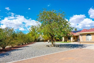 Discover this inviting single-story home perfectly positioned on on Lakeview Executive Golf Course in Nevada - for sale on GolfHomes.com, golf home, golf lot