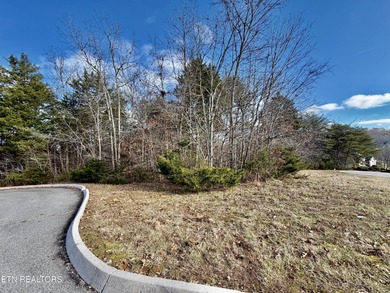 WELCOME TO WOODLAKE GOLF COURSE! NO FANCY WORDS ARE NEEDED HERE on Woodlake Golf Club in Tennessee - for sale on GolfHomes.com, golf home, golf lot