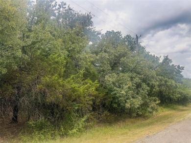 Discover the perfect canvas for your dream home or retreat with on White Bluff Resort - Old Course in Texas - for sale on GolfHomes.com, golf home, golf lot