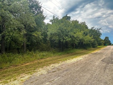 Discover the perfect canvas for your dream home or retreat with on White Bluff Resort - Old Course in Texas - for sale on GolfHomes.com, golf home, golf lot