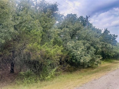 Discover the perfect canvas for your dream home or retreat with on White Bluff Resort - Old Course in Texas - for sale on GolfHomes.com, golf home, golf lot
