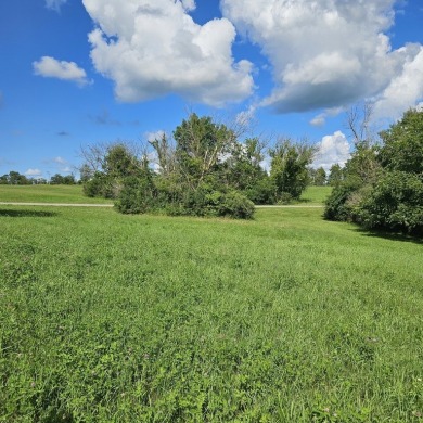 Stunning 4.6 Acres of Prime Vacant Land in the Desirable Lake on Lake Carroll Golf Course in Illinois - for sale on GolfHomes.com, golf home, golf lot