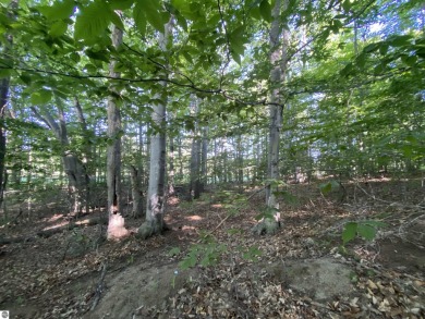 Surround yourself among nature and endless recreation on Manitou Passage Golf Club in Michigan - for sale on GolfHomes.com, golf home, golf lot