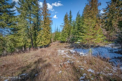 Enjoy beautiful western exposure from this 1.1-acre Moose on The Idaho Club in Idaho - for sale on GolfHomes.com, golf home, golf lot