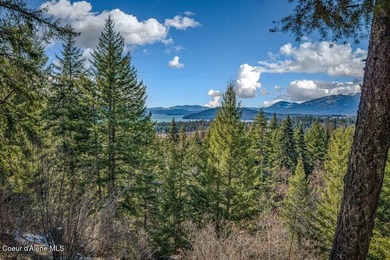 Enjoy beautiful western exposure from this 1.1-acre Moose on The Idaho Club in Idaho - for sale on GolfHomes.com, golf home, golf lot