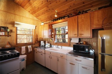 Mid Century Modern Lake Cottage! Private Golf Course Out Front on Eshquaguma Country Club in Minnesota - for sale on GolfHomes.com, golf home, golf lot