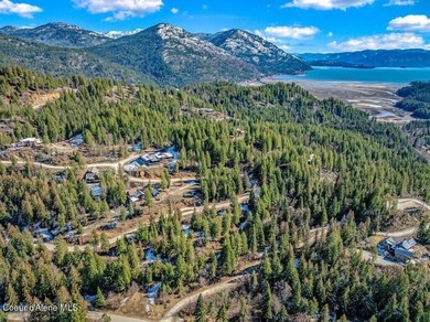Enjoy beautiful western exposure from this 1.1-acre Moose on The Idaho Club in Idaho - for sale on GolfHomes.com, golf home, golf lot