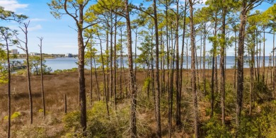 Discover the pinnacle of coastal elegance in this stunning condo on Sandestin Golf and Beach Resort - Raven in Florida - for sale on GolfHomes.com, golf home, golf lot