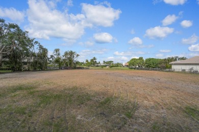 Discover an extraordinary opportunity to create your dream home on Hamlet Country Club in Florida - for sale on GolfHomes.com, golf home, golf lot