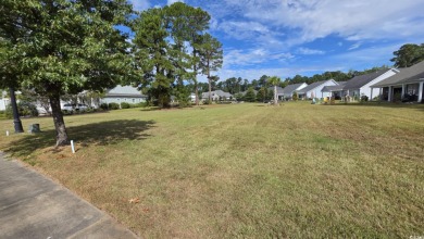 Stunning 0.36-Acre Homesite on a lake in Myrtle Beach's Premier on Wild Wing Plantation in South Carolina - for sale on GolfHomes.com, golf home, golf lot