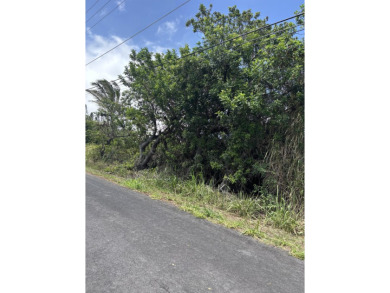 Beautifully situated between the 16th and 17th holes, this on Discovery Harbour Golf Course in Hawaii - for sale on GolfHomes.com, golf home, golf lot