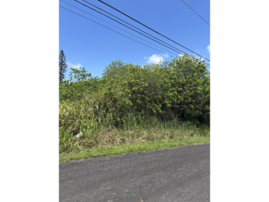 Beautifully situated between the 16th and 17th holes, this on Discovery Harbour Golf Course in Hawaii - for sale on GolfHomes.com, golf home, golf lot
