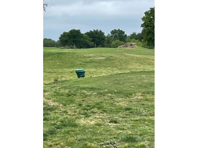 This is a very nice lot with Live Oak Trees, level and ready to on Hideout Golf Club and Resort  in Texas - for sale on GolfHomes.com, golf home, golf lot