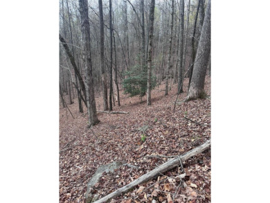 Welcome to Wilkerson Court Lot #16. Located in sought after on Rumbling Bald Resort on Lake Lure in North Carolina - for sale on GolfHomes.com, golf home, golf lot