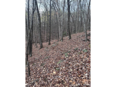 Welcome to Wilkerson Court Lot #16. Located in sought after on Rumbling Bald Resort on Lake Lure in North Carolina - for sale on GolfHomes.com, golf home, golf lot