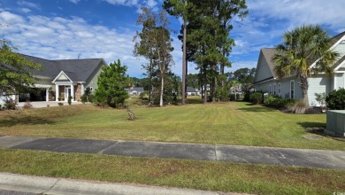 Stunning 0.38-Acre lake front homesite in Myrtle Beach's Premier on Wild Wing Plantation in South Carolina - for sale on GolfHomes.com, golf home, golf lot