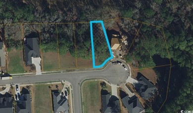 Stunning 0.18-Acre Homesite in Myrtle Beach's Premier Golf on Wild Wing Plantation in South Carolina - for sale on GolfHomes.com, golf home, golf lot