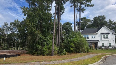 Stunning 0.18-Acre Homesite in Myrtle Beach's Premier Golf on Wild Wing Plantation in South Carolina - for sale on GolfHomes.com, golf home, golf lot